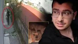 Ankara'da Sahiplendiği K&ouml;pekleri &Ouml;ld&uuml;ren Doktor Hakkında İstinaf Kararı: Dava Yeniden G&ouml;r&uuml;lecek