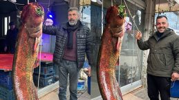 Ankara'daki g&ouml;lde yakalandı | G&uuml;&ccedil;l&uuml;kle &ccedil;ıkardılar: 2 metre uzunluğunda 85 kilo ağırlığında