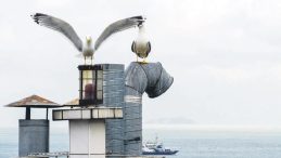 Apartmanın &Ccedil;atısında Deniz Feneri