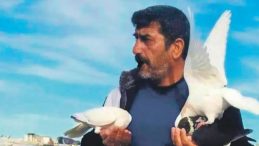 Araba Parasına G&uuml;vercin