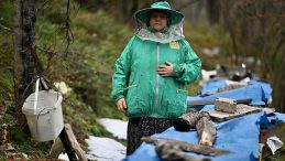 Arılarla Ge&ccedil;en 45 Yıl: Ata Mesleğini Yaşatıyor