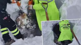 Artvin'de &Ccedil;ığ Felaketi: Arama Kurtarma &Ccedil;alışmaları Yeniden Başladı