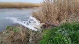 Bakanlık Gediz'i Kirletenlere G&ouml;z a&ccedil;tırmadı: 11 Tesise 16.5 Milyon Lira Ceza Kesildi