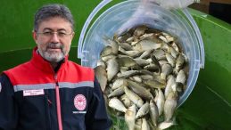 Balık &Uuml;retiminde Cumhuriyet Tarihi Rekoru Kırıldı