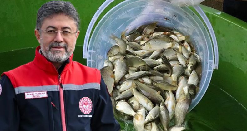 Balık &Uuml;retiminde Cumhuriyet Tarihi Rekoru Kırıldı
