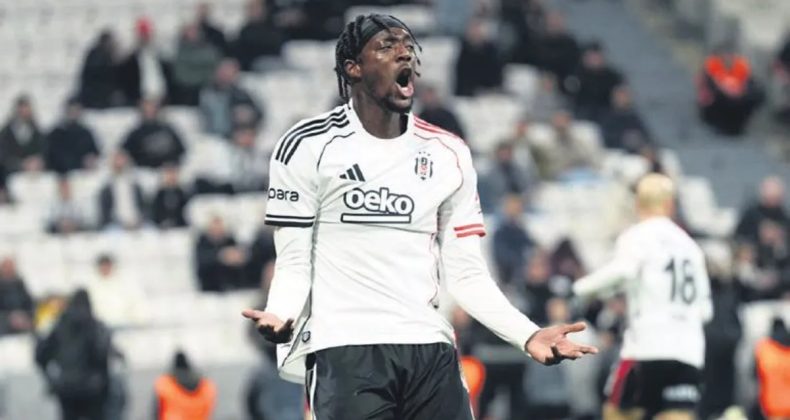 Bir Tammy ile iki kuş!