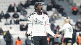 Bir Tammy ile iki kuş!