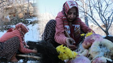 B&uuml;y&uuml;k &ccedil;uvallar halinde toprak altına g&ouml;m&uuml;yorlar! Kışın &ccedil;ıkarıyorlar: 'Hi&ccedil; bozulmaz, ilk g&uuml;nk&uuml; gibi durur'