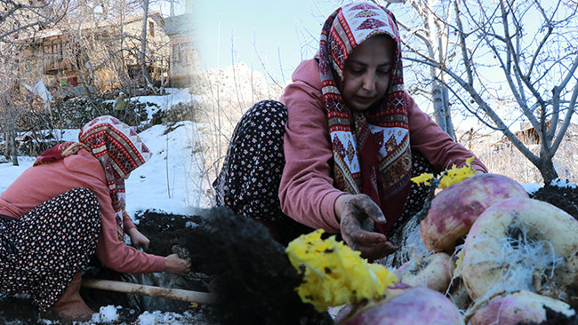 B&uuml;y&uuml;k &ccedil;uvallar halinde toprak altına g&ouml;m&uuml;yorlar! Kışın &ccedil;ıkarıyorlar: 'Hi&ccedil; bozulmaz, ilk g&uuml;nk&uuml; gibi durur'