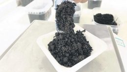 &Ccedil;ay Posası Zırha D&ouml;n&uuml;şt&uuml;r&uuml;ld&uuml;