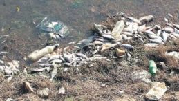 &Ccedil;evreyi Kirleten 9 Şirkete Ceza Yağdı