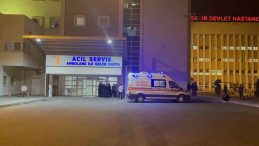 Dengesini Kaybedip D&uuml;şen Yaşlı Kadın Hayatını Kaybetti