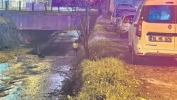 Dere Yataklarında Ş&uuml;pheli &Ouml;l&uuml;m Olayı