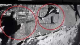 Diyarbakır'da Site Bah&ccedil;esinde 'Eşimi Rahatsız Ettin' Dehşeti: Pompalı T&uuml;fekli Cinayet Kamerada!