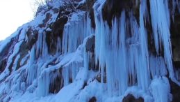 Doğu Beyaza B&uuml;r&uuml;nd&uuml;