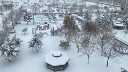 Doğu ve G&uuml;neydoğu B&ouml;lgesi Beyaz &Ouml;rt&uuml;yle Kaplandı