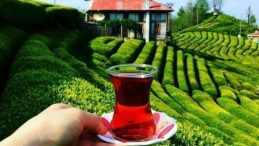 D&uuml;nyada &Uuml;zerine Kar Yağan Tek &Ccedil;ay: T&uuml;rkiye'nin 34.806 Milyon Dolarlık İhracatı