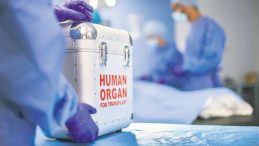 Duyun Bu Yaşam &Ccedil;ığlığını!