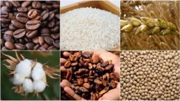 Emtia Fiyatlarını Jeopolitik Riskler Belirledi