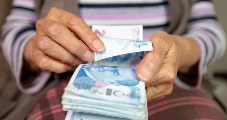 En D&uuml;ş&uuml;k Emekli Aylığı Kanunu Y&uuml;r&uuml;rl&uuml;ğe Girdi