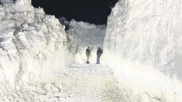 Evler Kara G&ouml;m&uuml;ld&uuml;