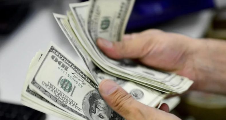 Finansal kesim dışındaki firmaların net d&ouml;viz a&ccedil;ığı arttı