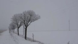 Hayvanları İ&ccedil;in Gittiği Bah&ccedil;ede Karda Mahsur Kaldı: İmdadına AFAD Yetişti!