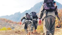 İkna Yoluyla Teslim Oldu