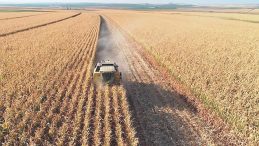 IPARD-III Hibelerinde Rekor İlgi