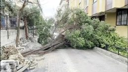 İstanbul'da Fırtına Uyarısı: 350 İhbar, Seferler İptal Edildi, Boğaz Kapatıldı