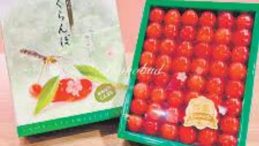 Japonya&rsquo;da Yılın İlk Kirazı Rekor Fiyata Satıldı
