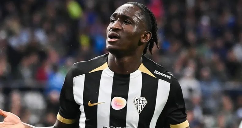 Kanarya'nın Yeni Hedefi: Cherif