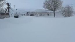 Kar kalınlığı yer yer 4 metreyi aştı! Manzaraya inanamadılar: 'Kul&uuml;belerimiz ve ara&ccedil;larımız kar altında kaldı! K&ouml;pekleri kurtardık'