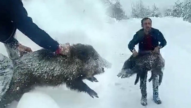 Karlı Yolda Karşılaştı, Eller İle Yakaladı! 'Kimse Buna &Ouml;zenmesin! B&uuml;y&uuml;kleri İnsanı Par&ccedil;alayabilir'