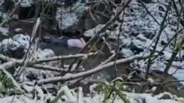 Kartepe'de Suyun &Uuml;zerinde Ceset Bulundu