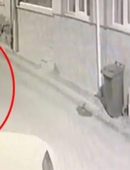 Kesici Aletle 5 Araca Zarar Veren Şahsın Olayı Kameralara Yansıdı!