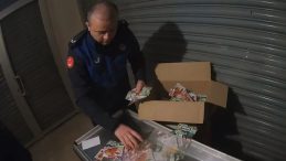 Kocaeli'de Ruhsatsız Tavuk Tesisi M&uuml;h&uuml;rlendi