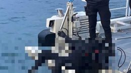 Kocaeli&rsquo;de Esrarengiz Olay: Balık&ccedil;ılar Denizde Dalgı&ccedil; Kıyafetli Ceset Buldu!