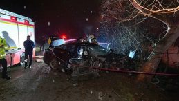 Kontrolden &Ccedil;ıkan Ara&ccedil; Ağaca &Ccedil;arptı: 2 &Ouml;l&uuml;, 2 Yaralı