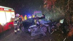 Kontrolden &ccedil;ıkan otomobil ağaca &ccedil;arptı: Alkoll&uuml; s&uuml;r&uuml;c&uuml; 2 kişinin &ouml;l&uuml;m&uuml;ne yol a&ccedil;tı