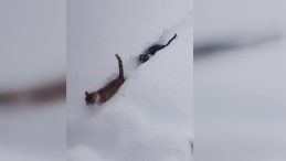 K&ouml;y İmamının &Ccedil;ektiği Video Sosyal Medyada B&uuml;y&uuml;k İlgi G&ouml;rd&uuml;