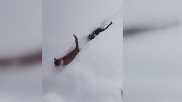 K&ouml;y İmamının &Ccedil;ektiği Video Sosyal Medyada B&uuml;y&uuml;k İlgi G&ouml;rd&uuml;