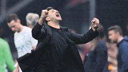 Kuzu Postuna B&uuml;r&uuml;nm&uuml;ş Kurtlar!