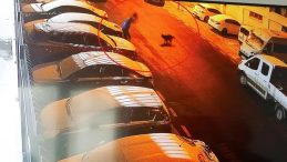 Mamak&rsquo;ta Sokak K&ouml;pekleri Dehşeti! Son Anda Kurtuldu, Kolu Kırıldı