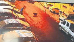 Mamak&rsquo;ta Sokak K&ouml;peklerinin Saldırısı