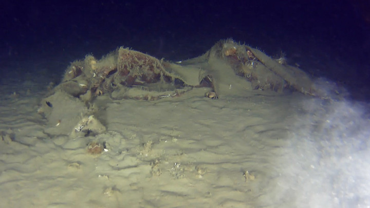 Marmara Denizi'nde Uçak Enkaza Dalış! THY'nin 50 Yıl Önce Düşen Uçağından Yeni Parçalar Bulundu