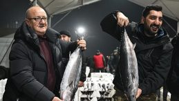 Marmara&rsquo;da Torik Bolluğu