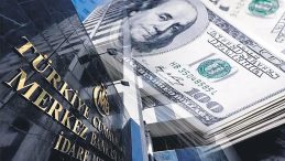 Merkez Bankasının Rezervleri 215.6 Milyar Dolar Seviyesine Ulaştı
