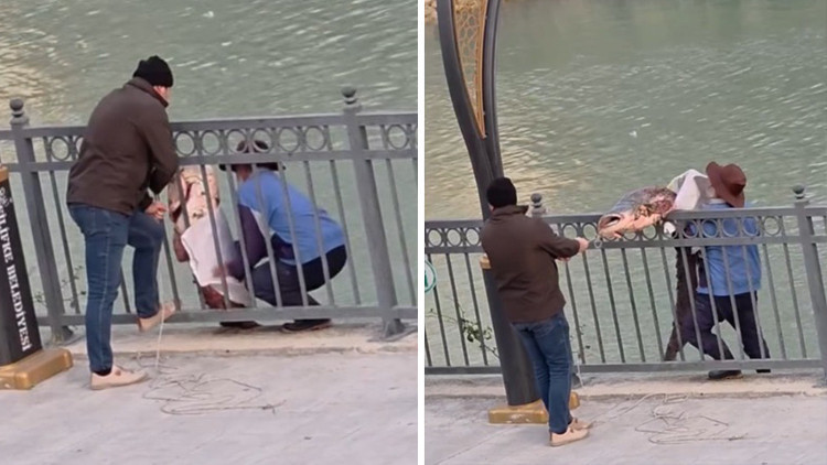 Mersin'de Amat&ouml;r Balık&ccedil;ının Oltasına Takılan Dev Balık: &Ccedil;evredekiler Yardım Etti