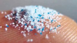 Mikroplastikler Damarları Tıkıyor